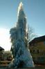 228 winter,ice,frozen tree, Rohr im Gebirge, Adventmarkt